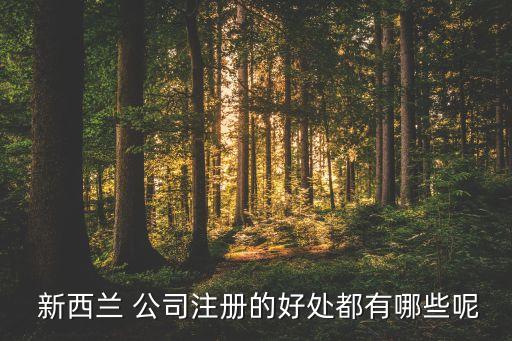 在新西蘭開(kāi)公司,新西蘭開(kāi)公司申請(qǐng)流程