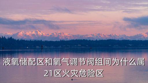 上海通儲(chǔ)投資有限公司,上海寅儲(chǔ)投資控股有限公司