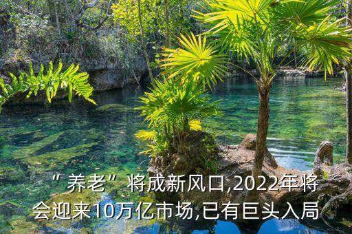 “ 養(yǎng)老”將成新風(fēng)口,2022年將會迎來10萬億市場,已有巨頭入局