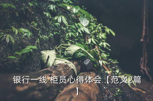  銀行一線(xiàn) 柜員心得體會(huì)【范文2篇】