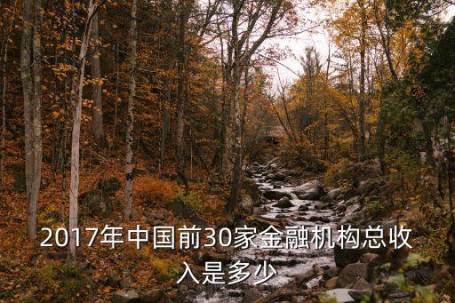 2017年中國前30家金融機(jī)構(gòu)總收入是多少