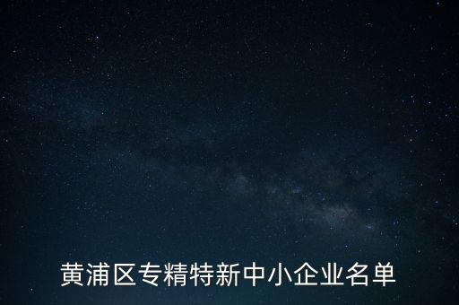 黃浦區(qū)專精特新中小企業(yè)名單