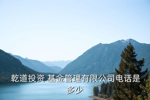 乾道基金背景,泰安乾道基金