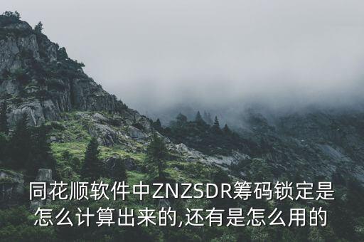 同花順軟件中ZNZSDR籌碼鎖定是怎么計(jì)算出來(lái)的,還有是怎么用的