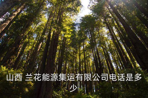 山西 蘭花能源集運(yùn)有限公司電話是多少