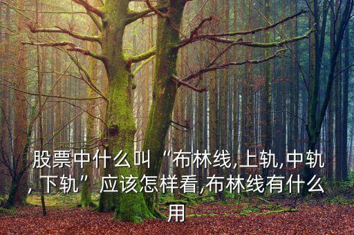  股票中什么叫“布林線,上軌,中軌, 下軌”應(yīng)該怎樣看,布林線有什么用