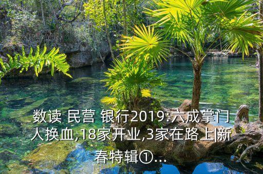 數(shù)讀 民營(yíng) 銀行2019:六成掌門人換血,18家開業(yè),3家在路上|新春特輯①...