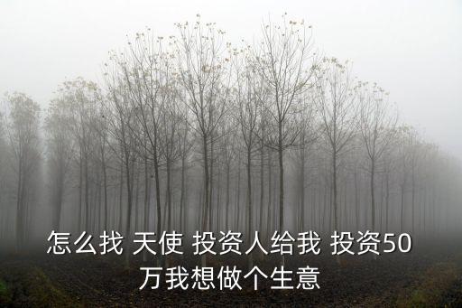 怎么找 天使 投資人給我 投資50萬我想做個(gè)生意