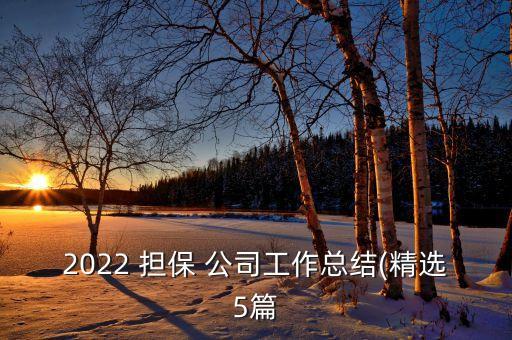 2022 擔保 公司工作總結(精選5篇