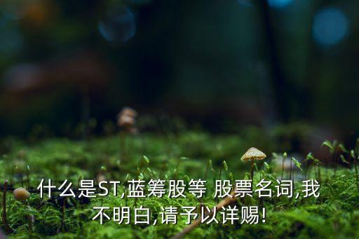 什么是ST,藍籌股等 股票名詞,我不明白,請予以詳賜!