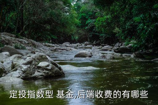 定投指數(shù)型 基金,后端收費的有哪些