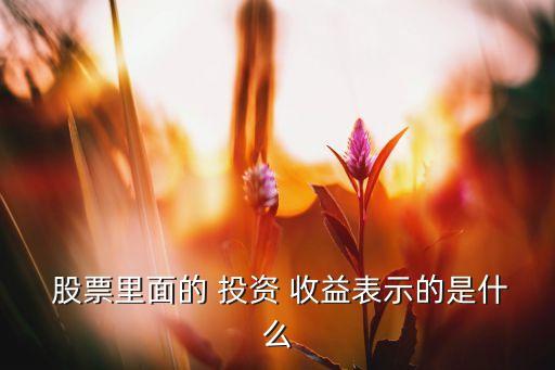  股票里面的 投資 收益表示的是什么