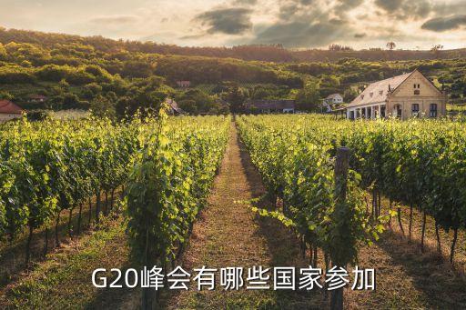 G20峰會有哪些國家參加