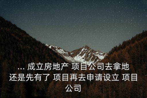 ... 成立房地產(chǎn) 項(xiàng)目公司去拿地還是先有了 項(xiàng)目再去申請?jiān)O(shè)立 項(xiàng)目公司