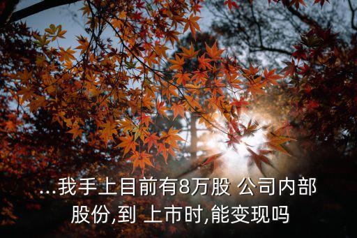 ...我手上目前有8萬股 公司內部 股份,到 上市時,能變現(xiàn)嗎