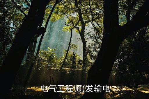  電氣工程師(發(fā)輸電