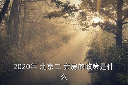 2020年 北京二 套房的政策是什么