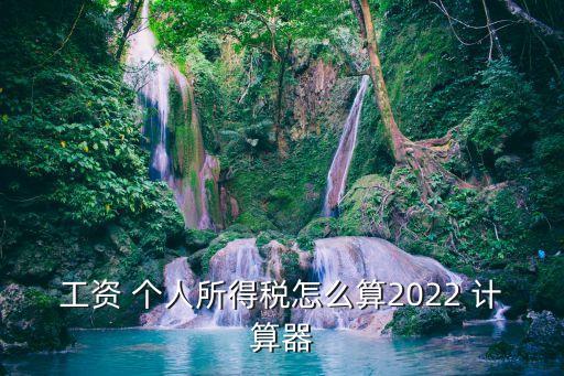 工資 個人所得稅怎么算2022 計算器