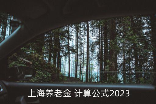 上海將來退休金怎么計算,上海2023年退休金計算方法