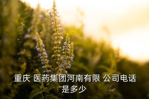  重慶 醫(yī)藥集團(tuán)河南有限 公司電話(huà)是多少