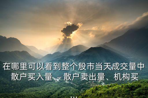 在哪里可以看到整個(gè)股市當(dāng)天成交量中 散戶買入量、 散戶賣出量、機(jī)構(gòu)買...