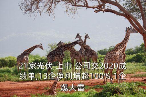 21家光伏 上市 公司交2020成績單,13企凈利增超100%,1企爆大雷