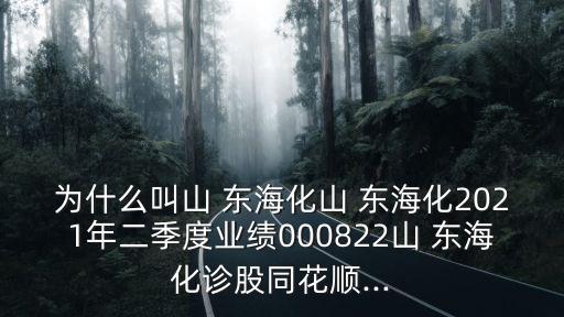 為什么叫山 東?；?東?；?021年二季度業(yè)績000822山 東?；\股同花順...