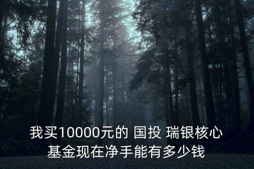 我買(mǎi)10000元的 國(guó)投 瑞銀核心基金現(xiàn)在凈手能有多少錢(qián)