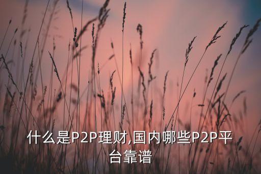 什么是P2P理財,國內哪些P2P平臺靠譜