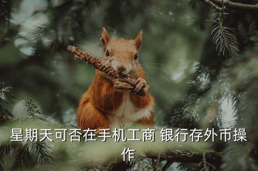 工行網(wǎng)上銀行結售匯時間,以下哪種不是網(wǎng)上銀行結售匯的交易方式