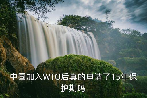 中國加入WTO后真的申請了15年保護(hù)期嗎