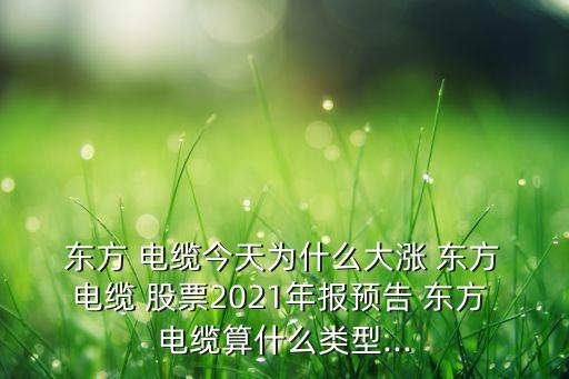  東方 電纜今天為什么大漲 東方 電纜 股票2021年報(bào)預(yù)告 東方 電纜算什么類型...