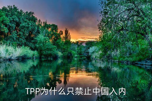 t中國加入tpp,中國哪年加入W TO