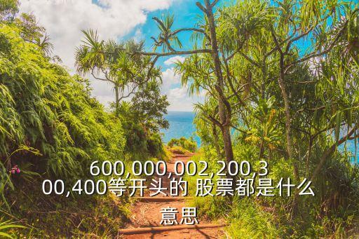 600,000,002,200,300,400等開頭的 股票都是什么意思