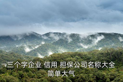 三個字企業(yè) 信用 擔保公司名稱大全簡單大氣