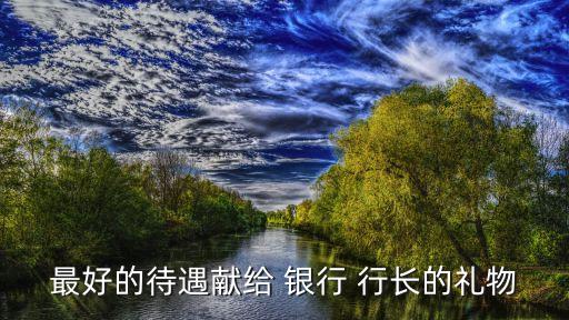 為工作獻(xiàn)身銀行行長(zhǎng),銀行行長(zhǎng)工作中的不足與改進(jìn)