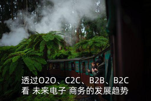 透過O2O、C2C、B2B、B2C看 未來電子 商務(wù)的發(fā)展趨勢