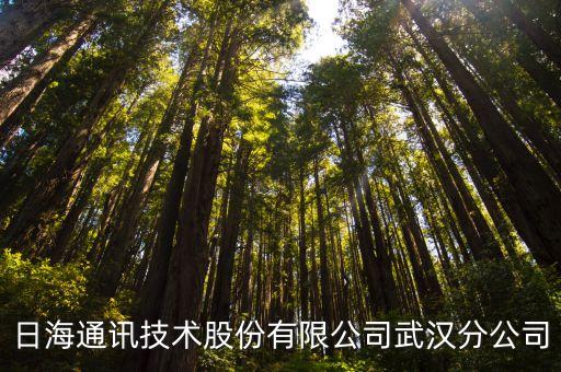 深圳日海通訊技術(shù)股份有限公司武漢分公司