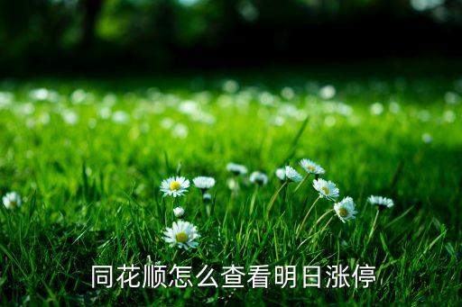  同花順怎么查看明日漲停