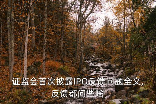 公司ipo最關注的問題