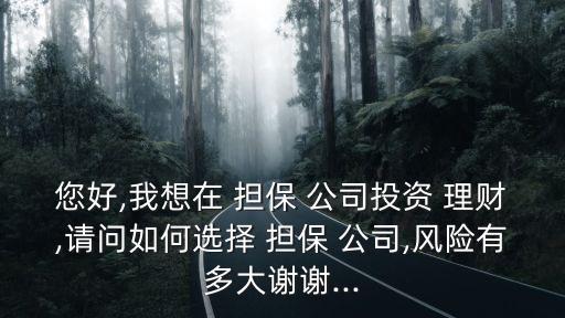 您好,我想在 擔(dān)保 公司投資 理財,請問如何選擇 擔(dān)保 公司,風(fēng)險有多大謝謝...