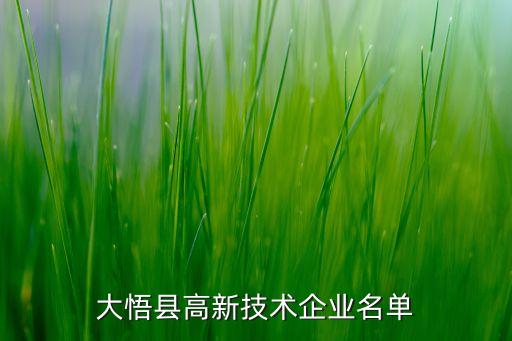 大悟縣高新技術(shù)企業(yè)名單