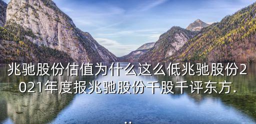 兆馳股份估值為什么這么低兆馳股份2021年度報兆馳股份千股千評東方...