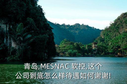  青島,MESNAC 軟控,這個(gè) 公司到底怎么樣待遇如何謝謝!