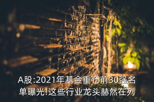 A股:2021年基金重倉前30強(qiáng)名單曝光!這些行業(yè)龍頭赫然在列