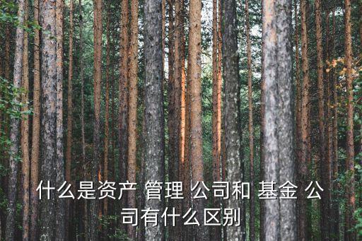 什么是資產(chǎn) 管理 公司和 基金 公司有什么區(qū)別