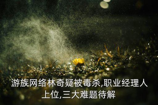  游族網(wǎng)絡(luò)林奇疑被毒殺,職業(yè)經(jīng)理人上位,三大難題待解