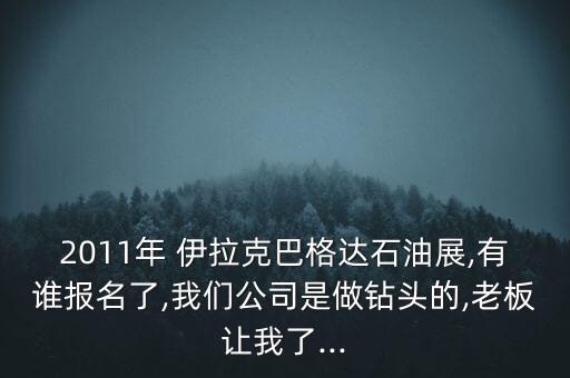 2011年 伊拉克巴格達(dá)石油展,有誰(shuí)報(bào)名了,我們公司是做鉆頭的,老板讓我了...