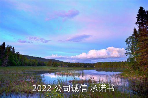 2022 公司誠(chéng)信 承諾書(shū)