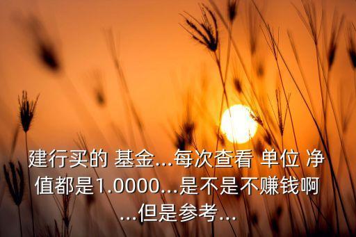 建行買的 基金…每次查看 單位 凈值都是1.0000…是不是不賺錢啊…但是參考...